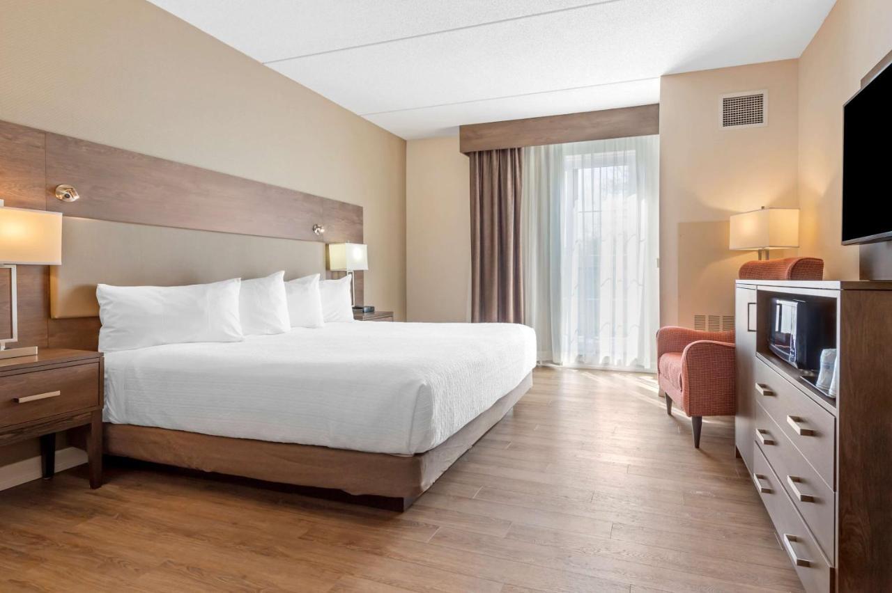King Room with Roll-In Shower - Disability Access